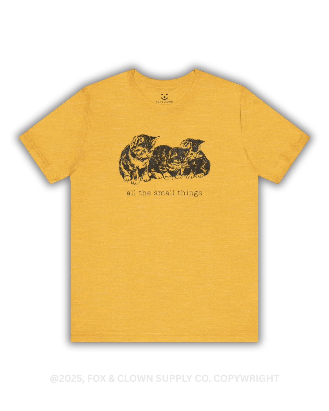 funny punk shirt that says all the small things with an image of three small kittens