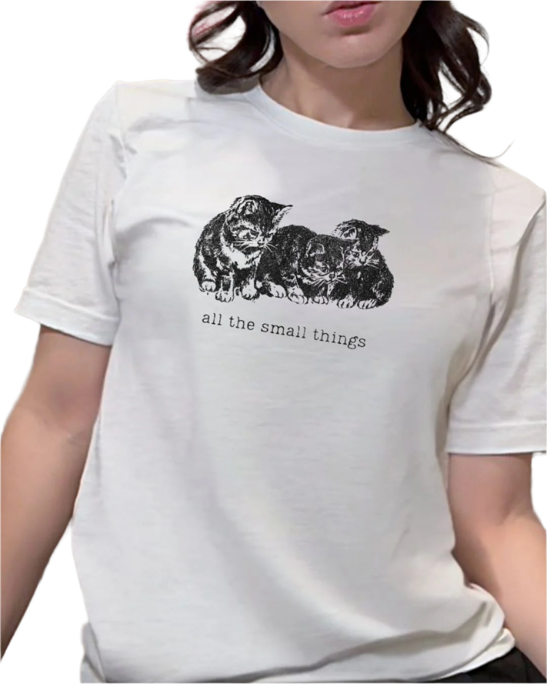 funny punk shirt that says all the small things with three kittens on it